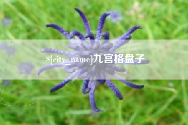 牡丹江九宫格盘子