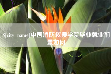 牡丹江中国消防救援学院毕业就业前景如何