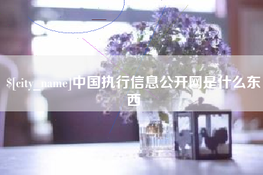 牡丹江中国执行信息公开网是什么东西