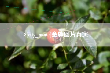 牡丹江金牌图片真实