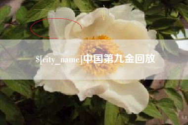 牡丹江中国第九金回放