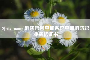 牡丹江消防官网查询系统查询消防职业资格证书