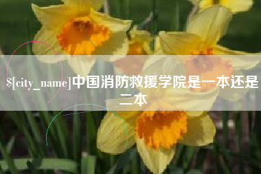 牡丹江中国消防救援学院是一本还是二本