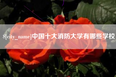 牡丹江中国十大消防大学有哪些学校