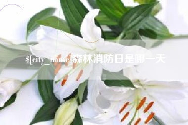 牡丹江森林消防日是哪一天