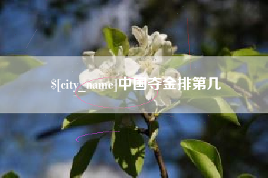 牡丹江中国夺金排第几