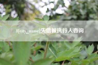 牡丹江失信被执行人杳询