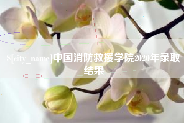 牡丹江中国消防救援学院2020年录取结果