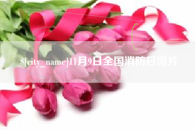 牡丹江11月9日全国消防日图片