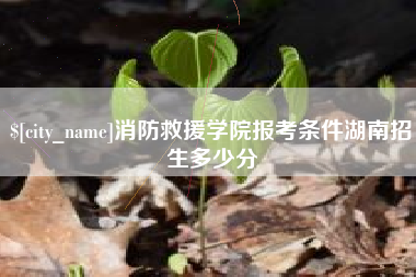 牡丹江消防救援学院报考条件湖南招生多少分