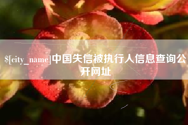 牡丹江中国失信被执行人信息查询公开网址