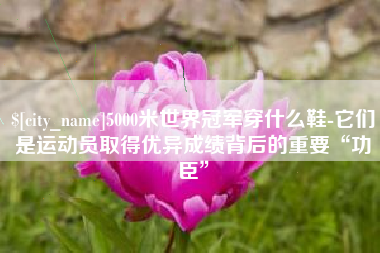 牡丹江5000米世界冠军穿什么鞋-它们是运动员取得优异成绩背后的重要“功臣”