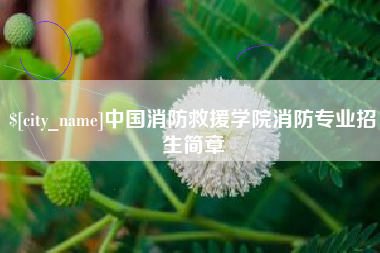 牡丹江中国消防救援学院消防专业招生简章