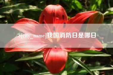 牡丹江我国消防日是哪日