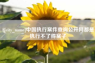 牡丹江中国执行案件查询公开网都是执行不了得案子