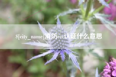 牡丹江消防ccc认证什么意思