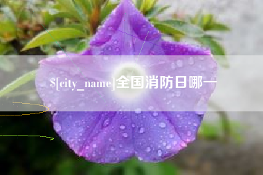 牡丹江全国消防日哪一