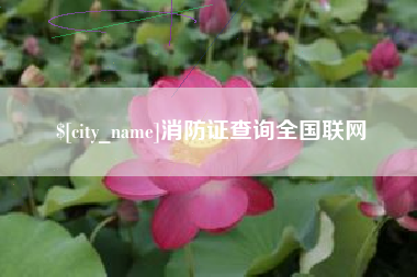 牡丹江消防证查询全国联网