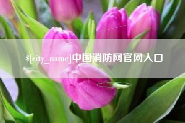 牡丹江中国消防网官网入口