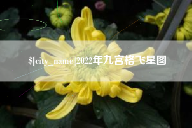 牡丹江2022年九宫格飞星图