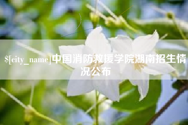 牡丹江中国消防救援学院湖南招生情况公布