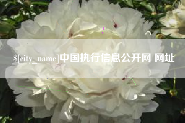 牡丹江中国执行信息公开网 网址