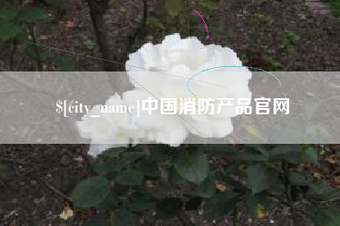 牡丹江中国消防产品官网