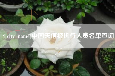 牡丹江中国失信被执行人员名单查询
