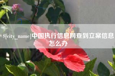 牡丹江中国执行信息网查到立案信息怎么办