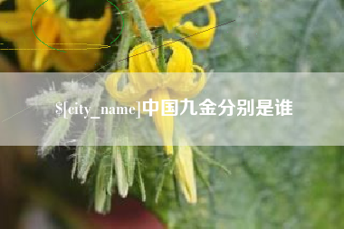 牡丹江中国九金分别是谁