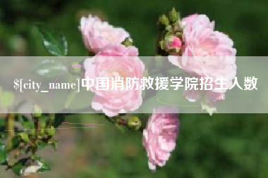 牡丹江中国消防救援学院招生人数