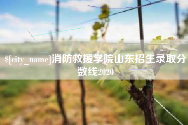 牡丹江消防救援学院山东招生录取分数线2020