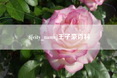 牡丹江王子豪百科