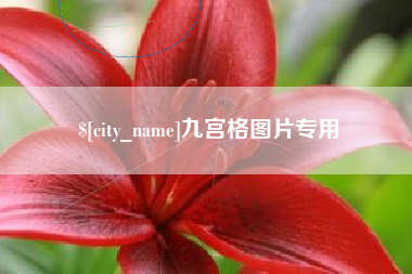 牡丹江九宫格图片专用
