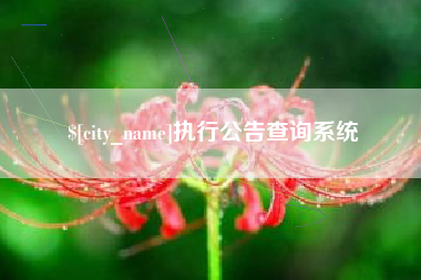 牡丹江执行公告查询系统