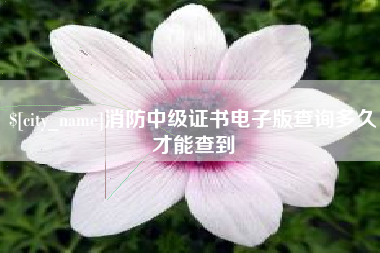牡丹江消防中级证书电子版查询多久才能查到