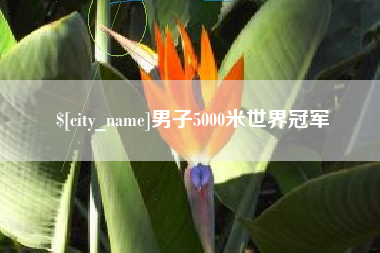 牡丹江男子5000米世界冠军