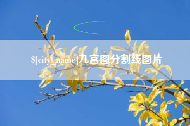 牡丹江九宫图分割线图片