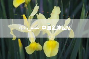 牡丹江中国金牌包括