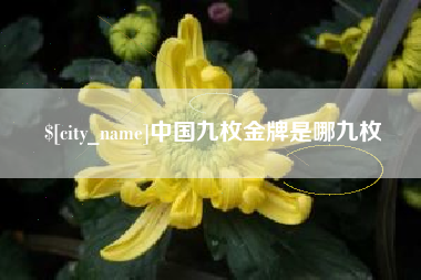 牡丹江中国九枚金牌是哪九枚