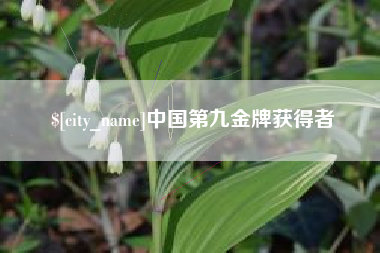 牡丹江中国第九金牌获得者