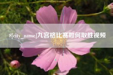 牡丹江九宫格比赛如何取胜视频