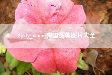 牡丹江中国金牌图片大全