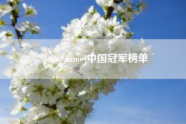 牡丹江中国冠军榜单