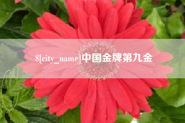 牡丹江中国金牌第九金
