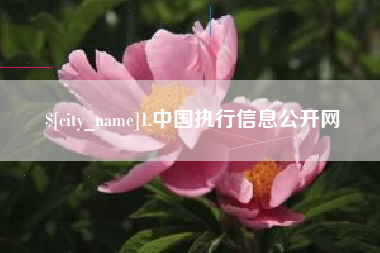 牡丹江1.中国执行信息公开网