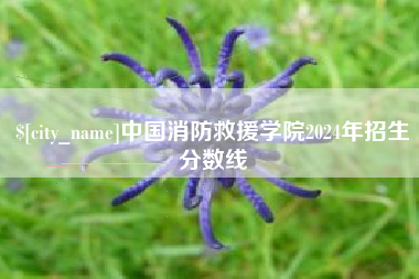牡丹江中国消防救援学院2024年招生分数线