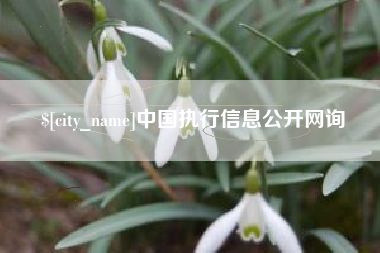 牡丹江中国执行信息公开网询