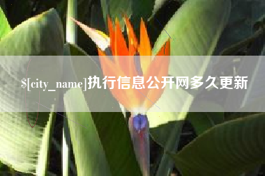 牡丹江执行信息公开网多久更新