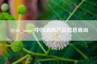 牡丹江中国消防产品信息查询